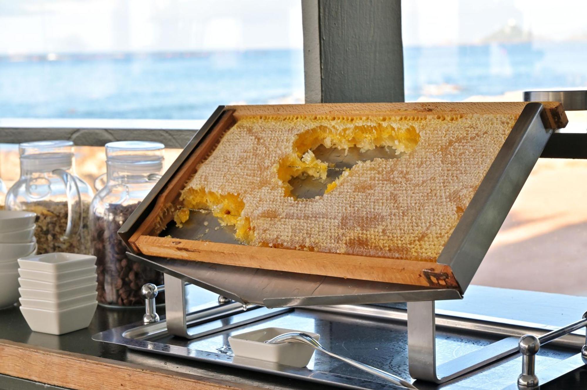 Hotel Restaurant Dolce Ajaccio (Corsica)